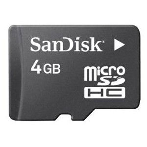 Sandisk - Carte mémoire SD - 4 Go